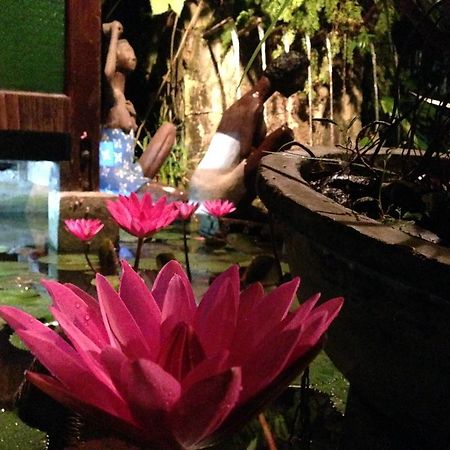 The Lotus Garden Panzió Puerto Princesa Kültér fotó