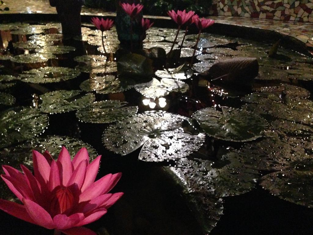 The Lotus Garden Panzió Puerto Princesa Kültér fotó