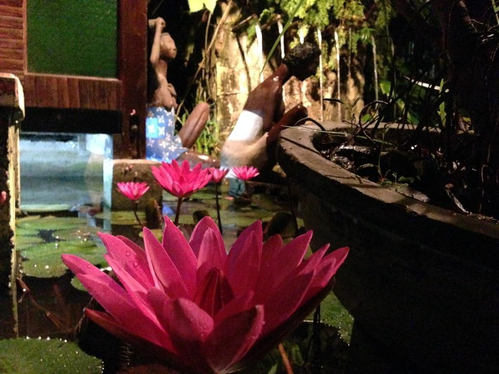 The Lotus Garden Panzió Puerto Princesa Kültér fotó