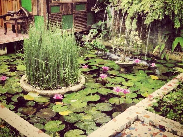 The Lotus Garden Panzió Puerto Princesa Kültér fotó